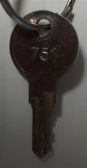 Southco CH751 [IN8 BLANK] RV Replacement Key Series